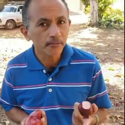 Caneta P&aacute;tria ou Capit&atilde;o Azul?