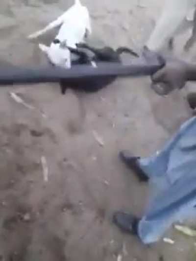 Veja at&eacute; o final (o v&iacute;deo n&atilde;o tem som)