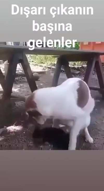 #EvdeKalKGB