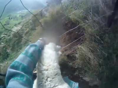 to save the sheep
