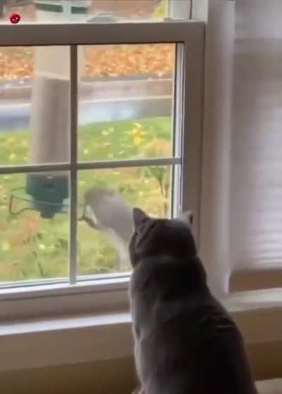 &ldquo;I can watch this all day.&rdquo; &mdash; Cat.