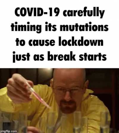covid plz