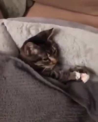 Time to sleep...