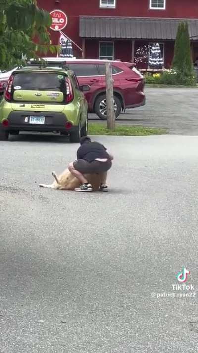 Doggo doesn&rsquo;t want his day at the brewery to end 