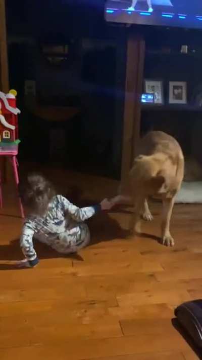 My niece and neph-dog playing tug o war with a water bottle, both having a blast