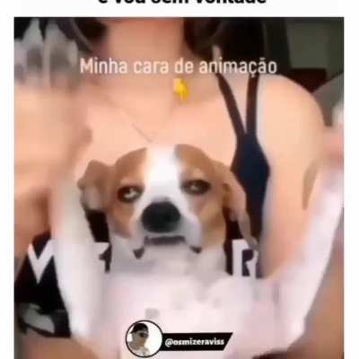 Minha anima&ccedil;&atilde;o