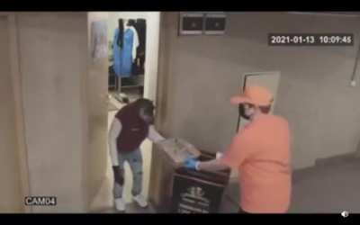 Monkey pays for pizza