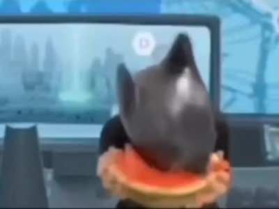 bat