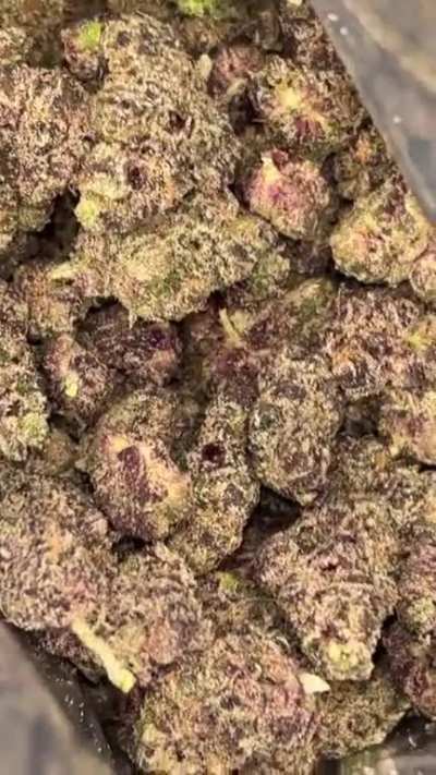 What&rsquo;s the most y&rsquo;all would pay for a zip? Just picked up these black cherry runtz for 200