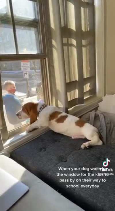 Dog&rsquo;s favorite part of the day