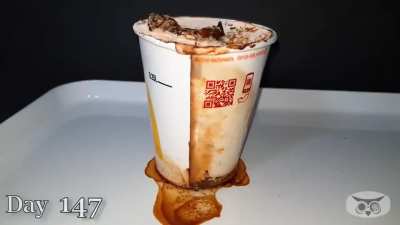 How long a paper cup can hold a liquid...?