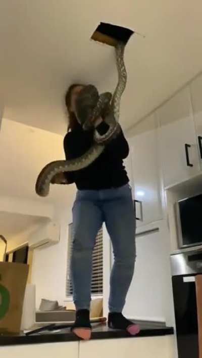 are you brave enough to try this?