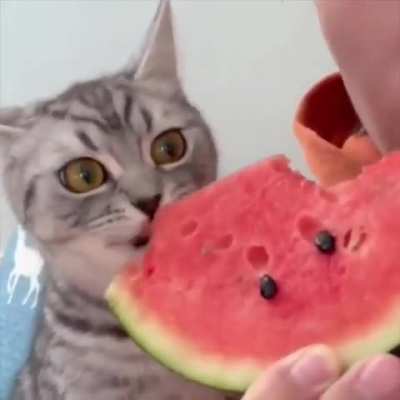 When the juice hits