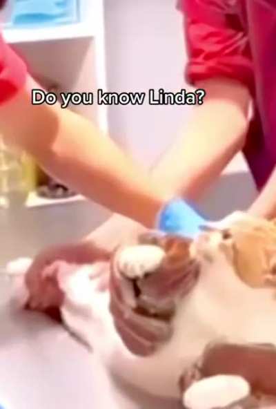 What did you do?!