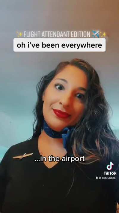 flight attendant edition! love this trend lol