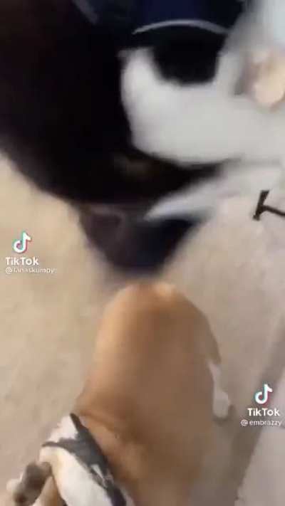 Parkour!