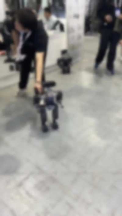 Glimpse from IROS &lsquo;25, China