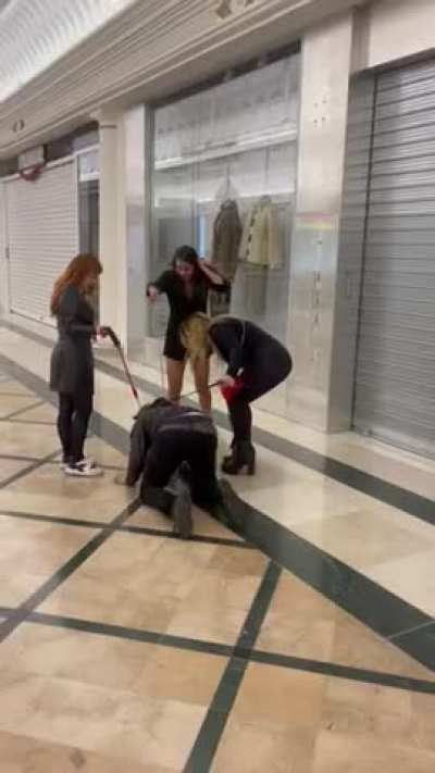 Dog training in public
