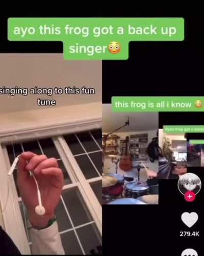 Fixed by the Jazz Frog Band