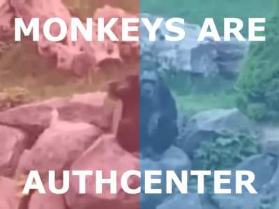Return to monke