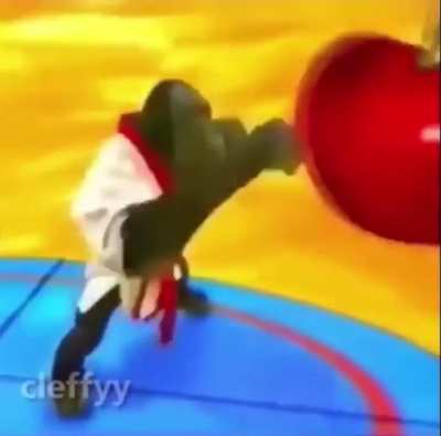 Kung fu monke’s