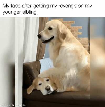 &ldquo;You deserved it&rdquo;