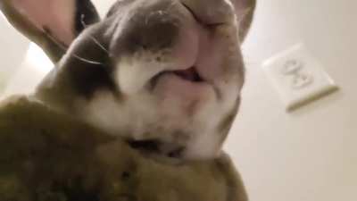 POV: You're the next piece of lettuce