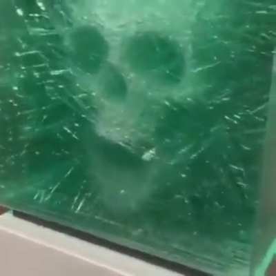 art