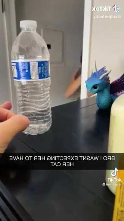 meme