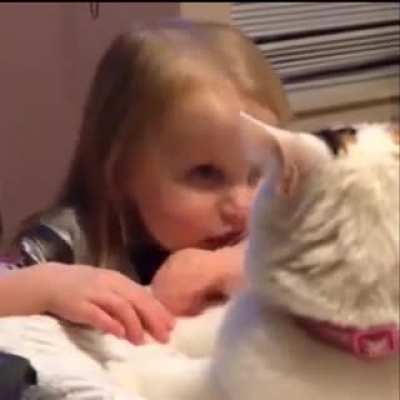 wItCh CaSt a cUrSE To iNnOcENt cat