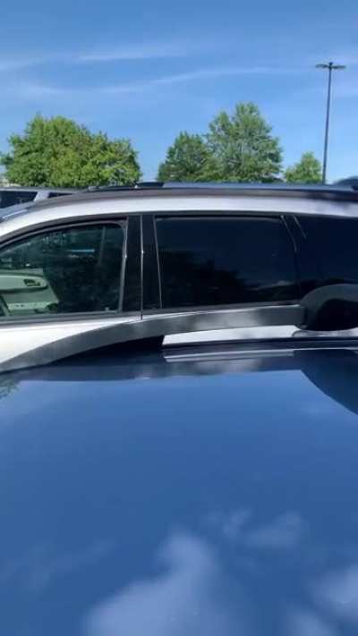 Don&rsquo;t leave your dog in the car when it&rsquo;s 100 degrees outside