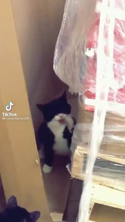 sa&uacute;de x18