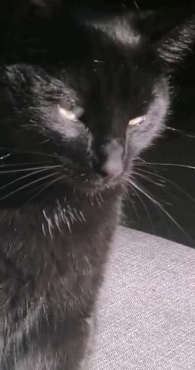 MAH LEG