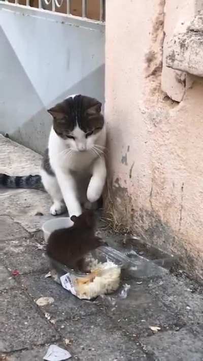 When the food eats your food.