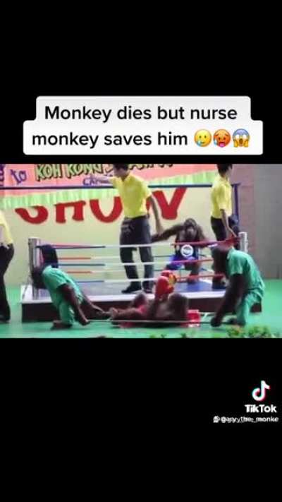 Monke