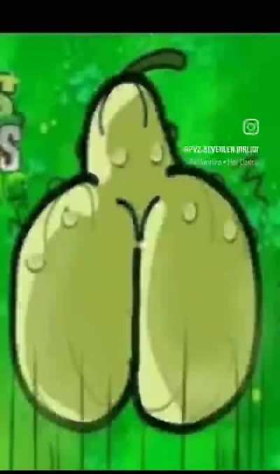 Wyd in this situation