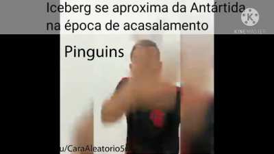T&iacute;tulo est&aacute; com frio