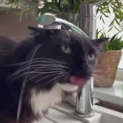 hmmm