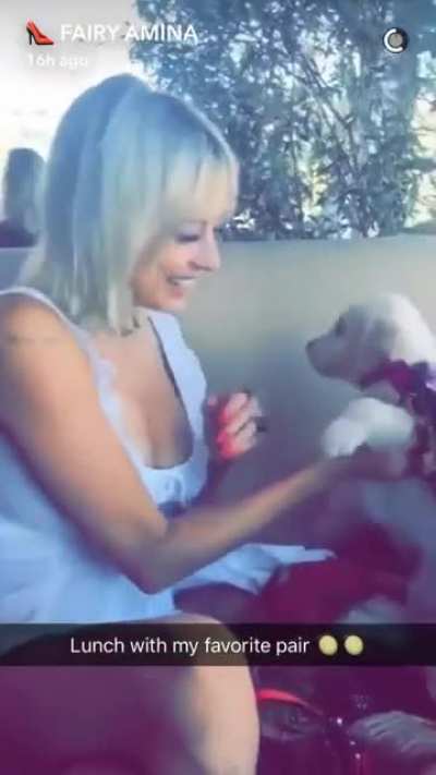 Lucky Puppy