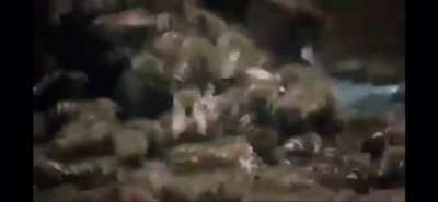 Agalarımla mahallenin b&uuml;y&uuml;k abisine dalıyoruz