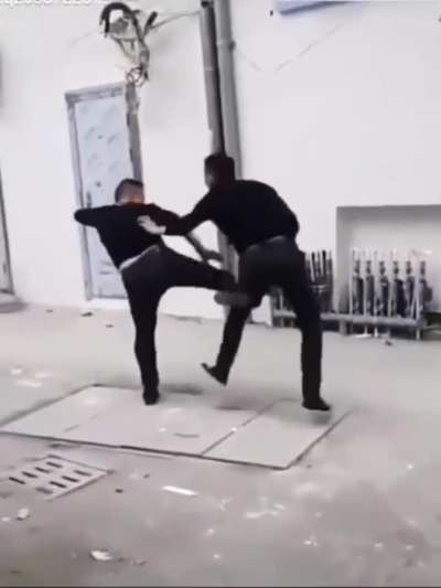 Wushu master ㊙