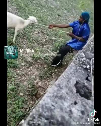 Un título interesante