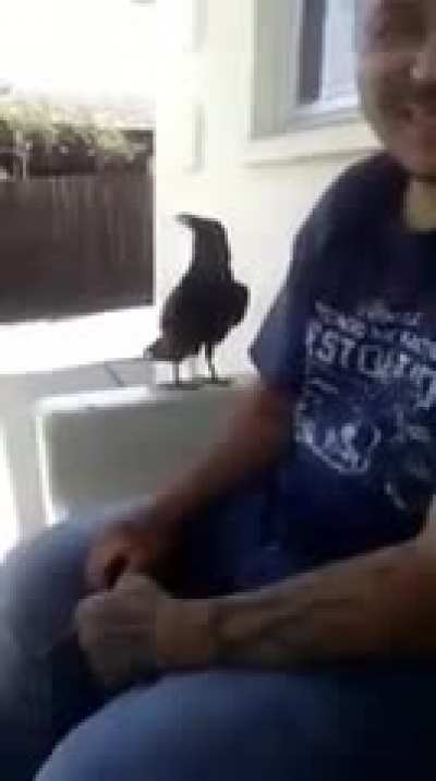 Spirit animal
