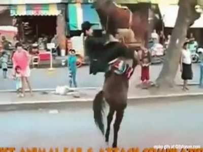 Forgot how to horse