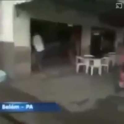 Bonk