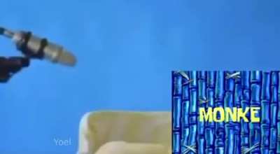 Monke fell asleep