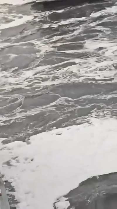 [LFO] 2 Men Smeared Between Ferries