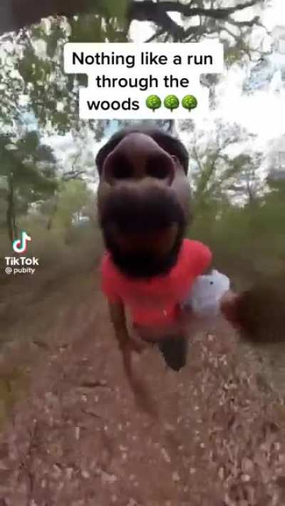 A nice walk