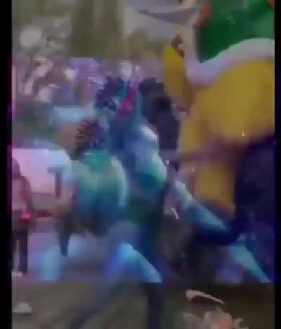 Poor Bowser