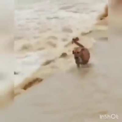 la vida real es irreal